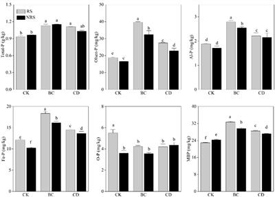 Differential effects of cow dung and its biochar on Populus euphratica soil phosphorus effectiveness, bacterial community diversity and functional genes for phosphorus conversion